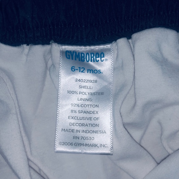 Gymboree 2-Piece Swim Set – Shorts & Long Sleeve Swimsuit - Picture 3 of 7